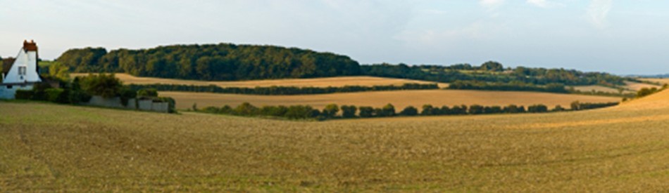 Kent countryside